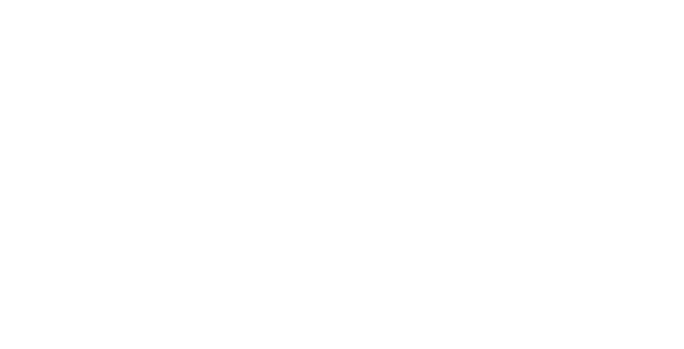 Screaming Eagle Productions Ltd